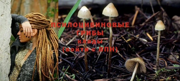 мдма Осинники