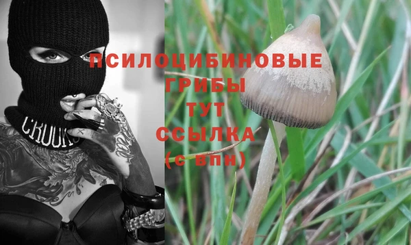 мдма Осинники