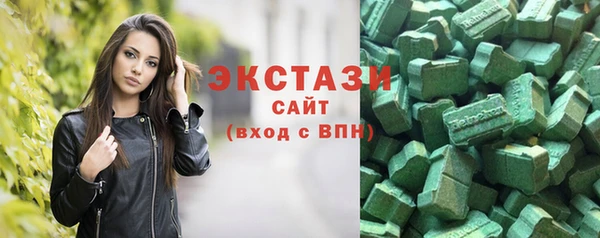 СК Гатчина