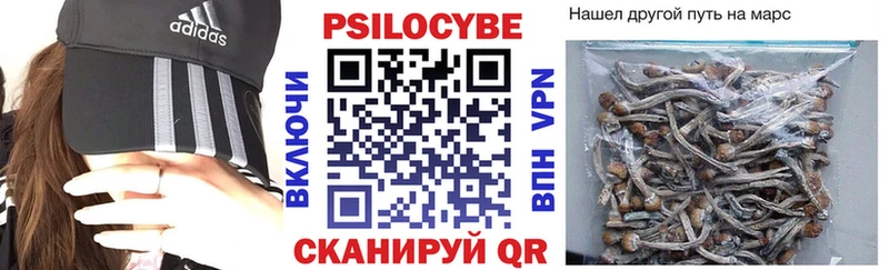 Галлюциногенные грибы ЛСД  магазин продажи наркотиков  Пустошка 